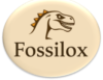 fossilox.com